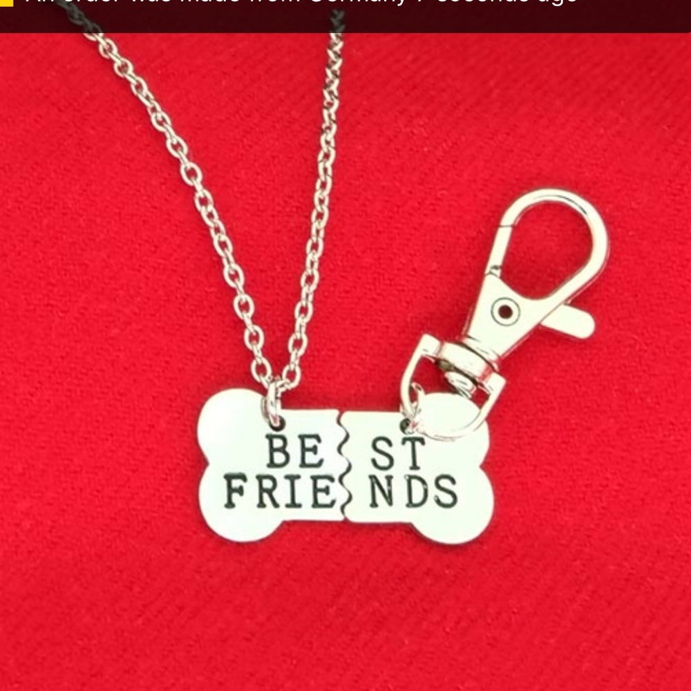 COPY - Best Friend Necklace For You and Your Dog!…
